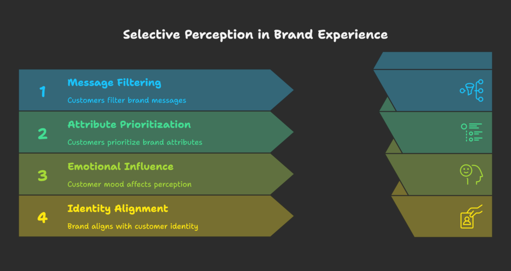 Selective Perception Brand Experience