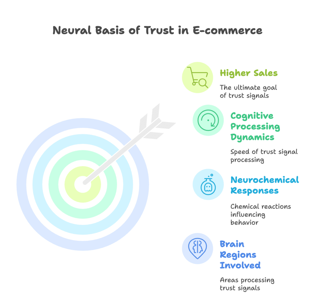 Neural Basis of Trust Signal Processing