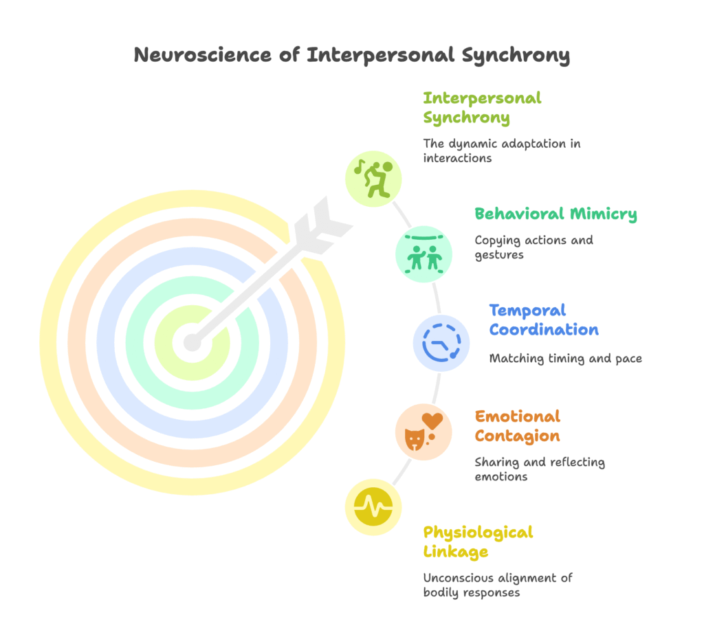 Neuroscience of Interpersonal Synchrony
