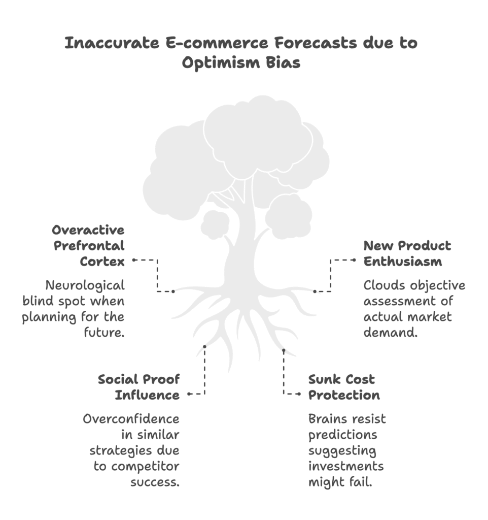 Optimism Bias in E-Commerce