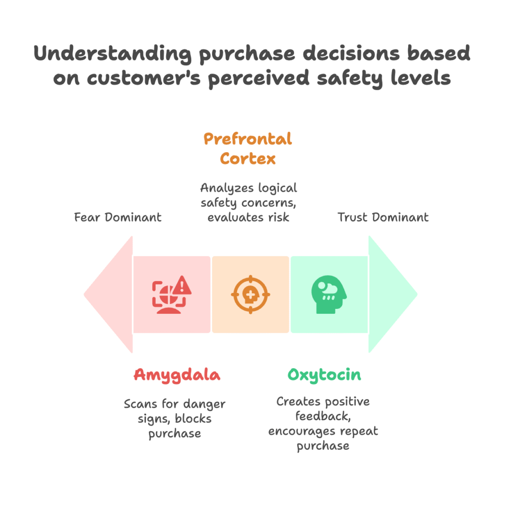 Psychology of Safety in Purchase Decisions